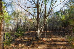 property photo for Stone Bridge Phase II Tract 129, 78.92 acres for sale in LatimerHaskell County, Oklahoma