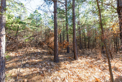 property photo for Stone Bridge Phase II Tract 129, 78.92 acres for sale in LatimerHaskell County, Oklahoma