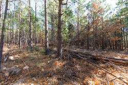 property photo for Stone Bridge Phase II Tract 129, 78.92 acres for sale in LatimerHaskell County, Oklahoma
