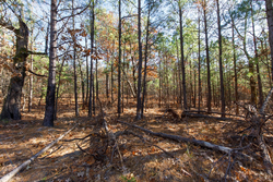 property photo for Stone Bridge Phase II Tract 129, 78.92 acres for sale in LatimerHaskell County, Oklahoma