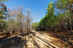 property photo for Stone Bridge Phase II Tract 129, 78.92 acres for sale in LatimerHaskell County, Oklahoma