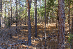property photo for Stone Bridge Phase II Tract 129, 78.92 acres for sale in LatimerHaskell County, Oklahoma