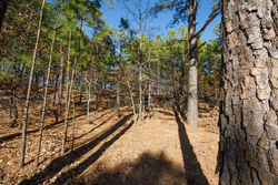 property photo for Stone Bridge Phase II Tract 97, 15.88 acres for sale in LatimerHaskell County, Oklahoma