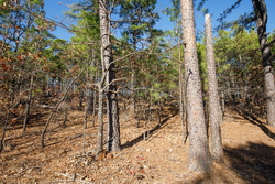 property photo for Stone Bridge Phase II Tract 97, 15.88 acres for sale in LatimerHaskell County, Oklahoma