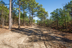 property photo for Stone Bridge Phase II Tract 97, 15.88 acres for sale in LatimerHaskell County, Oklahoma