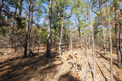 property photo for Stone Bridge Phase II Tract 97, 15.88 acres for sale in LatimerHaskell County, Oklahoma