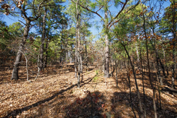 property photo for Stone Bridge Phase II Tract 97, 15.88 acres for sale in LatimerHaskell County, Oklahoma