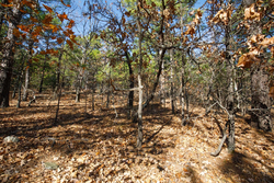 property photo for Stone Bridge Phase II Tract 97, 15.88 acres for sale in LatimerHaskell County, Oklahoma