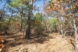 property photo for Stone Bridge Phase II Tract 97, 15.88 acres for sale in LatimerHaskell County, Oklahoma