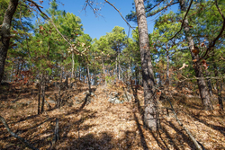 property photo for Stone Bridge Phase II Tract 97, 15.88 acres for sale in LatimerHaskell County, Oklahoma