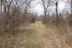 property photo for Stone Bridge Phase III Tract 159, 4.85 acres for sale in LatimerHaskell County, Oklahoma