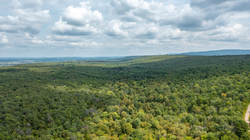 property photo for Stone Bridge Phase V Tract 347, 6.7 acres for sale in LatimerHaskell County, Oklahoma