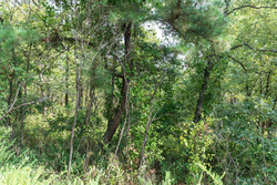 property photo for Stone Bridge Phase V Tract 347, 6.7 acres for sale in LatimerHaskell County, Oklahoma
