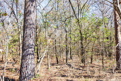 property photo for Stone Bridge Reserve Tract 11, 2.94 acres for sale in LatimerHaskell County, Oklahoma