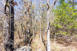 property photo for Stone Bridge Reserve Tract 11, 2.94 acres for sale in LatimerHaskell County, Oklahoma