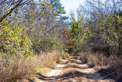 property photo for Stone Bridge Reserve Tract 11, 2.94 acres for sale in LatimerHaskell County, Oklahoma