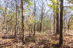 property photo for Stone Bridge Reserve Tract 11, 2.94 acres for sale in LatimerHaskell County, Oklahoma