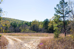 property photo for Stone Bridge Reserve Tract 12, 7.42 acres for sale in LatimerHaskell County, Oklahoma