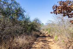 property photo for Stone Bridge Reserve Tract 12, 7.42 acres for sale in LatimerHaskell County, Oklahoma