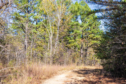 property photo for Stone Bridge Reserve Tract 12, 7.42 acres for sale in LatimerHaskell County, Oklahoma