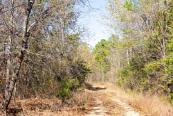 property photo for Stone Bridge Reserve Tract 12, 7.42 acres for sale in LatimerHaskell County, Oklahoma