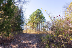 property photo for Stone Bridge Reserve Tract 12, 7.42 acres for sale in LatimerHaskell County, Oklahoma