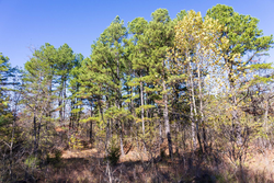 property photo for Stone Bridge Reserve Tract 12, 7.42 acres for sale in LatimerHaskell County, Oklahoma