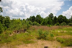 property photo for Tyler Stone Ranch Tract 17, 4.63 acres for sale in Leflore County, Oklahoma