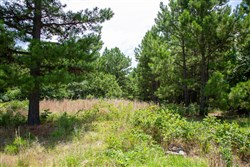 property photo for Tyler Stone Ranch Tract 17, 4.63 acres for sale in Leflore County, Oklahoma
