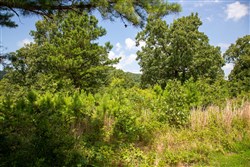 property photo for Tyler Stone Ranch Tract 28, 8.6 acres for sale in Leflore County, Oklahoma