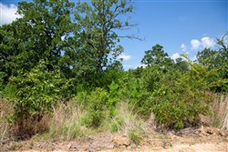 property photo for Tyler Stone Ranch Tract 28, 8.6 acres for sale in Leflore County, Oklahoma