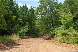 property photo for Tyler Stone Ranch Tract 28, 8.6 acres for sale in Leflore County, Oklahoma