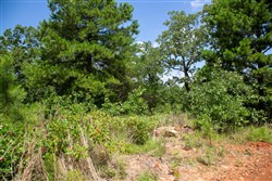 property photo for Tyler Stone Ranch Tract 28, 8.6 acres for sale in Leflore County, Oklahoma