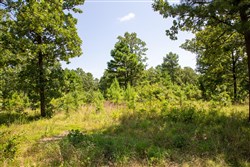 property photo for Tyler Stone Ranch Tract 40, 5.61 acres for sale in Leflore County, Oklahoma