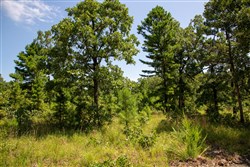 property photo for Tyler Stone Ranch Tract 40, 5.61 acres for sale in Leflore County, Oklahoma