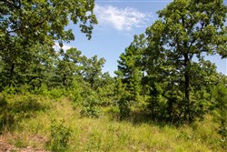property photo for Tyler Stone Ranch Tract 40, 5.61 acres for sale in Leflore County, Oklahoma