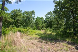 property photo for Tyler Stone Ranch Tract 40, 5.61 acres for sale in Leflore County, Oklahoma