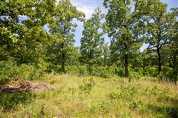 property photo for Tyler Stone Ranch Tract 41, 6.06 acres for sale in Leflore County, Oklahoma