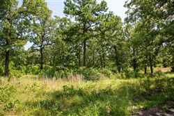 property photo for Tyler Stone Ranch Tract 41, 6.06 acres for sale in Leflore County, Oklahoma