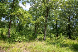 property photo for Tyler Stone Ranch Tract 41, 6.06 acres for sale in Leflore County, Oklahoma