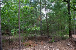 property photo for Tyler Stone Ranch Tract 50, 6.92 acres for sale in Leflore County, Oklahoma