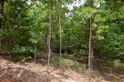 property photo for Tyler Stone Ranch Tract 50, 6.92 acres for sale in Leflore County, Oklahoma
