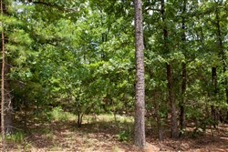 property photo for Tyler Stone Ranch Tract 50, 6.92 acres for sale in Leflore County, Oklahoma