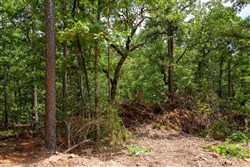 property photo for Tyler Stone Ranch Tract 50, 6.92 acres for sale in Leflore County, Oklahoma