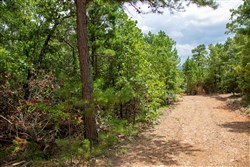 property photo for Tyler Stone Ranch Tract 50, 6.92 acres for sale in Leflore County, Oklahoma