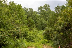 property photo for Tyler Stone Ranch Tract 52, 9.65 acres for sale in Leflore County, Oklahoma