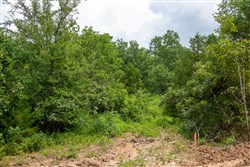 property photo for Tyler Stone Ranch Tract 52, 9.65 acres for sale in Leflore County, Oklahoma