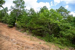 property photo for Tyler Stone Ranch Tract 52, 9.65 acres for sale in Leflore County, Oklahoma