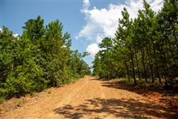 property photo for Tyler Stone Ranch Tract 58, 5.13 acres for sale in Leflore County, Oklahoma