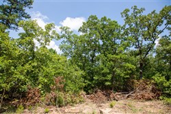 property photo for Tyler Stone Ranch Tract 58, 5.13 acres for sale in Leflore County, Oklahoma